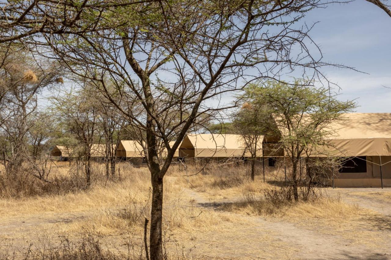Africa Safari South Serengeti Ndutu Ngorongoro Sinoni Exterior foto